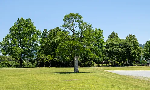 安の里公園写真