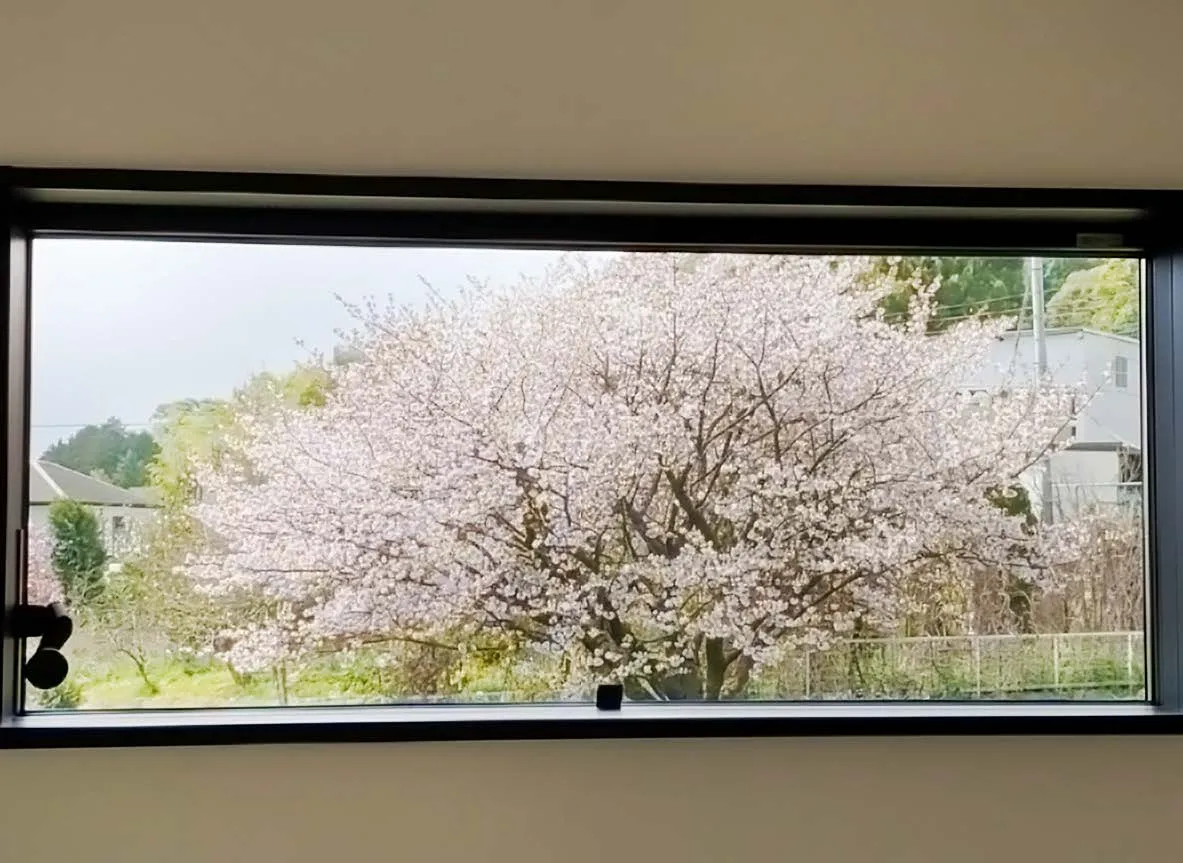 自然素材を使った居心地の良い空間、家族のぬくもりが感じられる家。ページの画像06