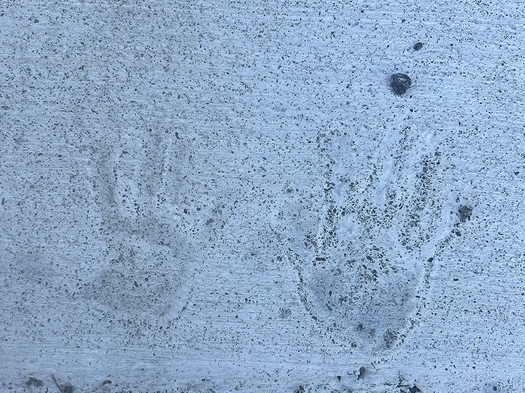 福岡筑紫野市の悠建築工房自然素材を使った家｜アフターインタビューFile25ページの画像04